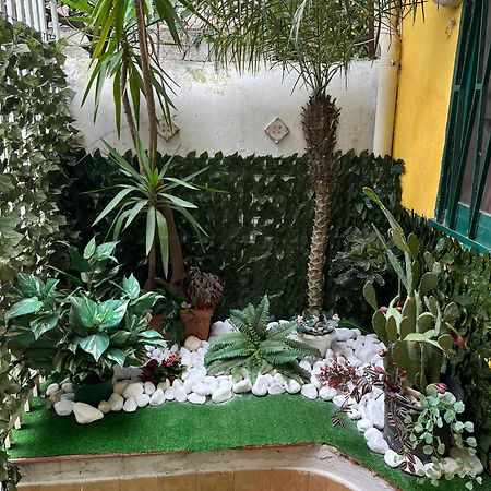 קטאניה Amuri Di Casa Scogliera מראה חיצוני תמונה